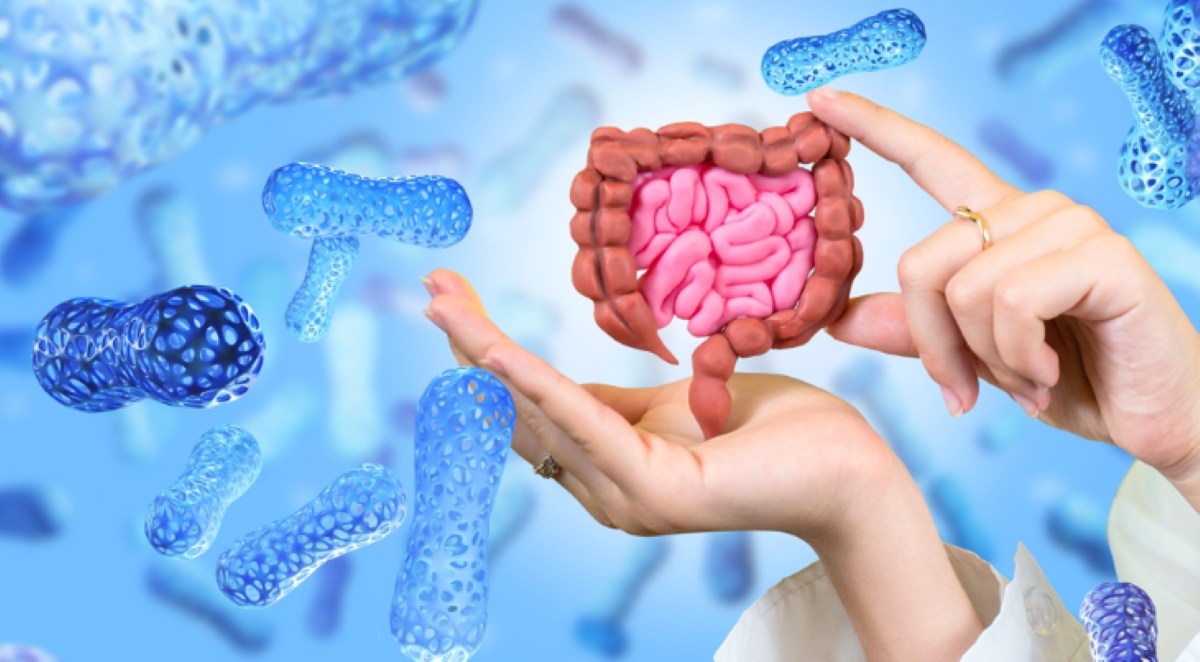 Your Gut Health Secrets