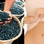 7 Amazing Health and Beauty Benefits of Acai Berry You Need to Know