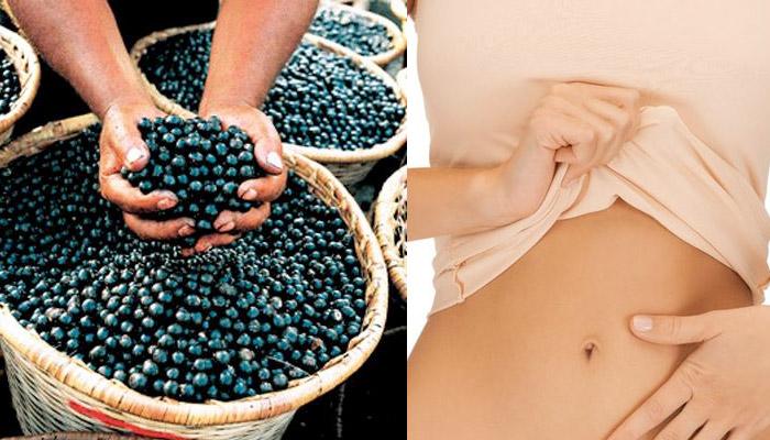 7 Amazing Health and Beauty Benefits of Acai Berry You Need to Know
